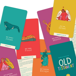 Bible Basics: Full Collection (All 3)